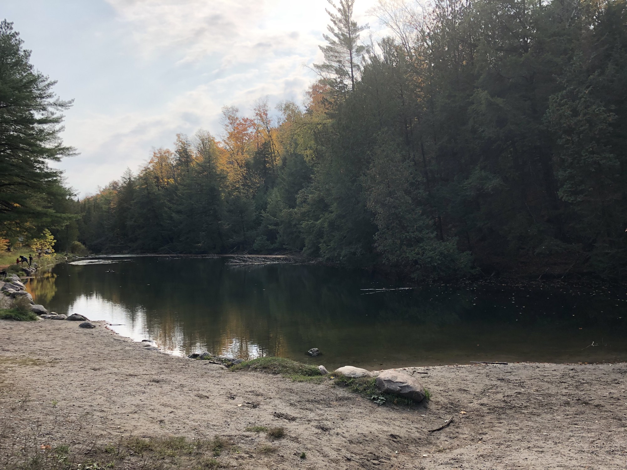 hiking-week-york-regional-forest-1