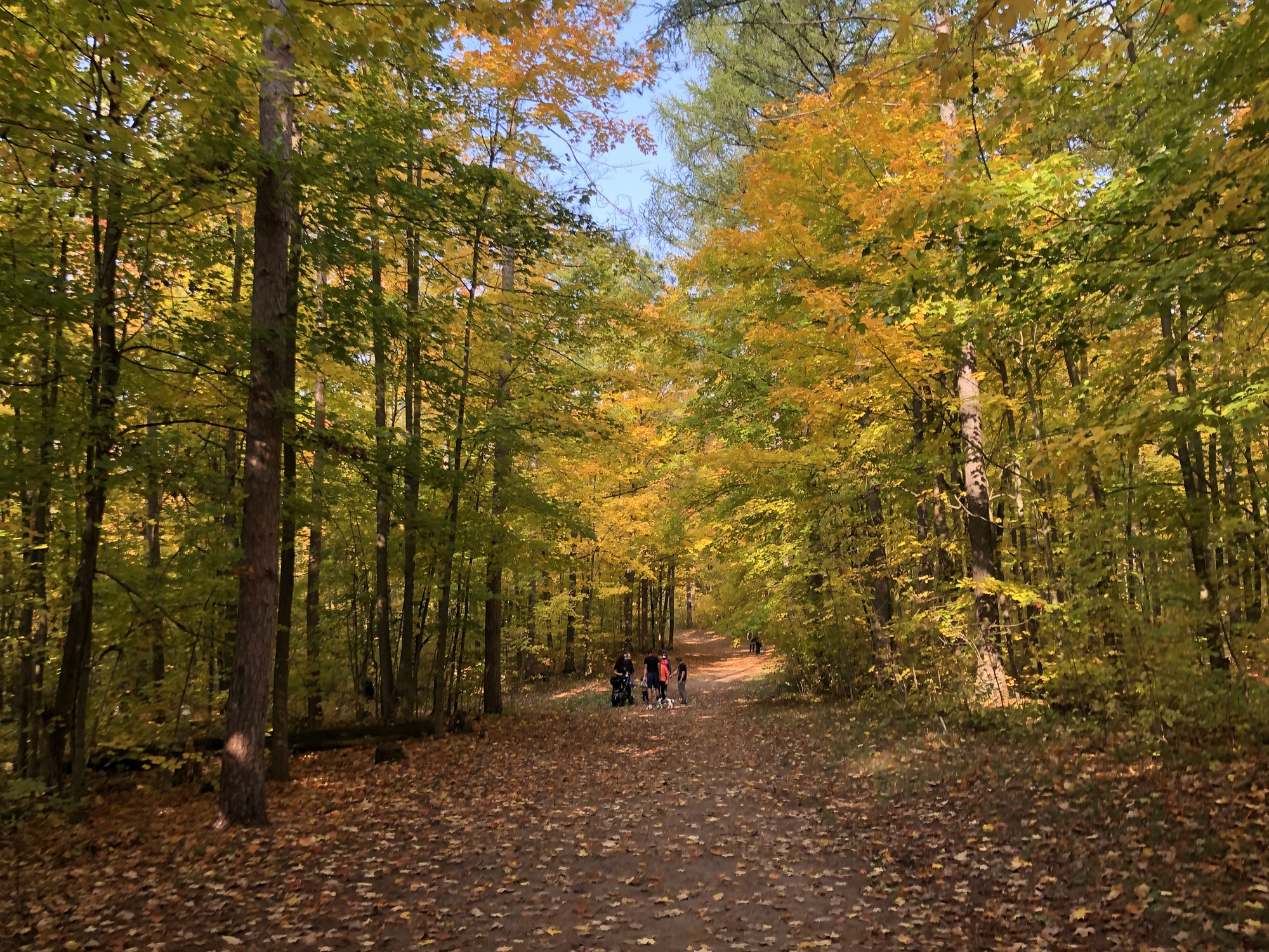 hiking-week-york-regional-forest-2
